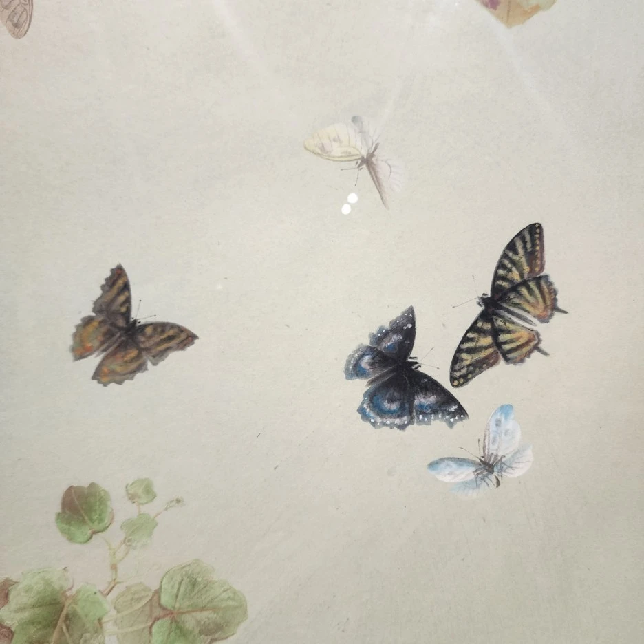 20230715_131510.jpg?type=w1