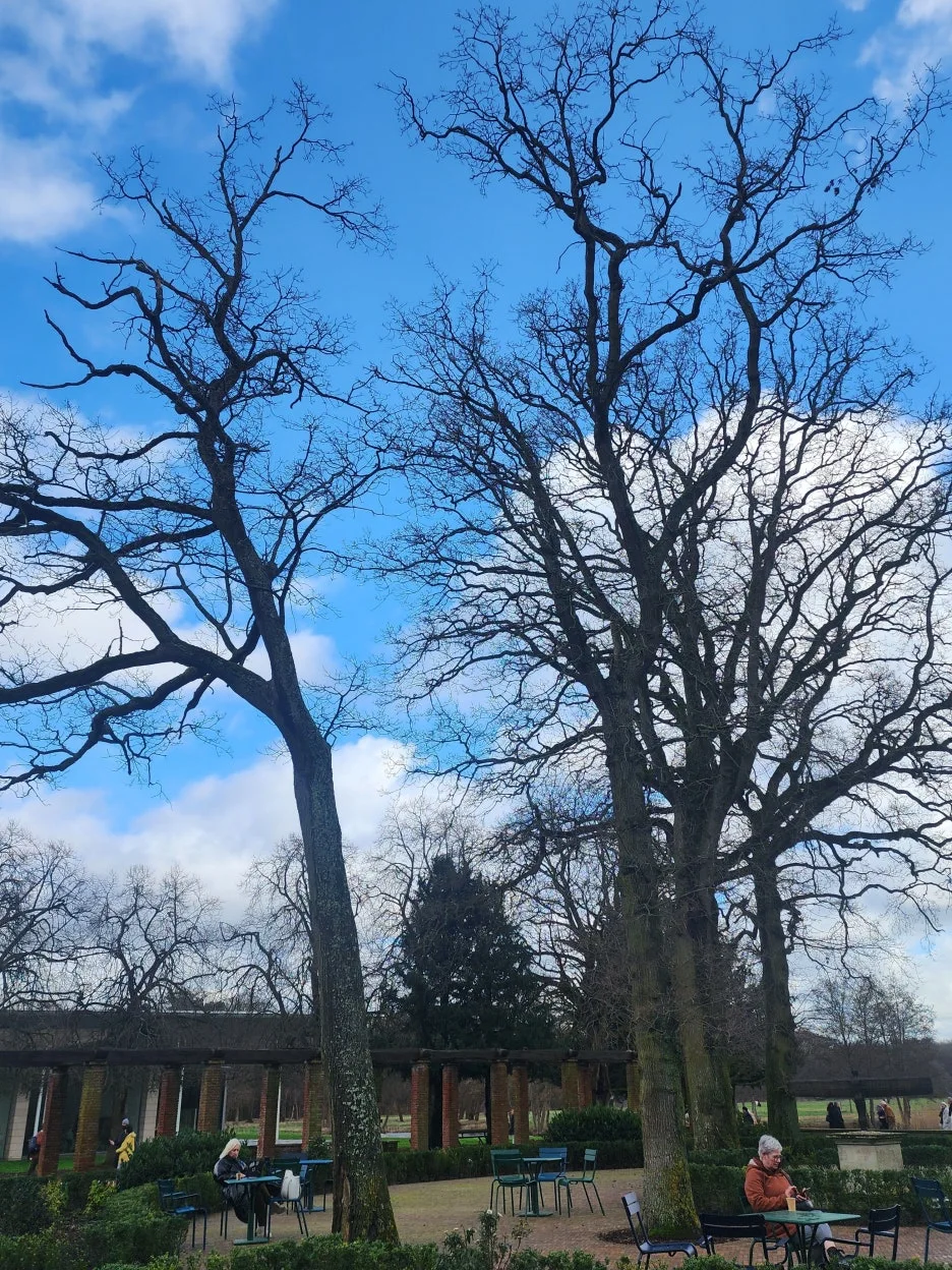 20240223_130641.jpg?type=w1