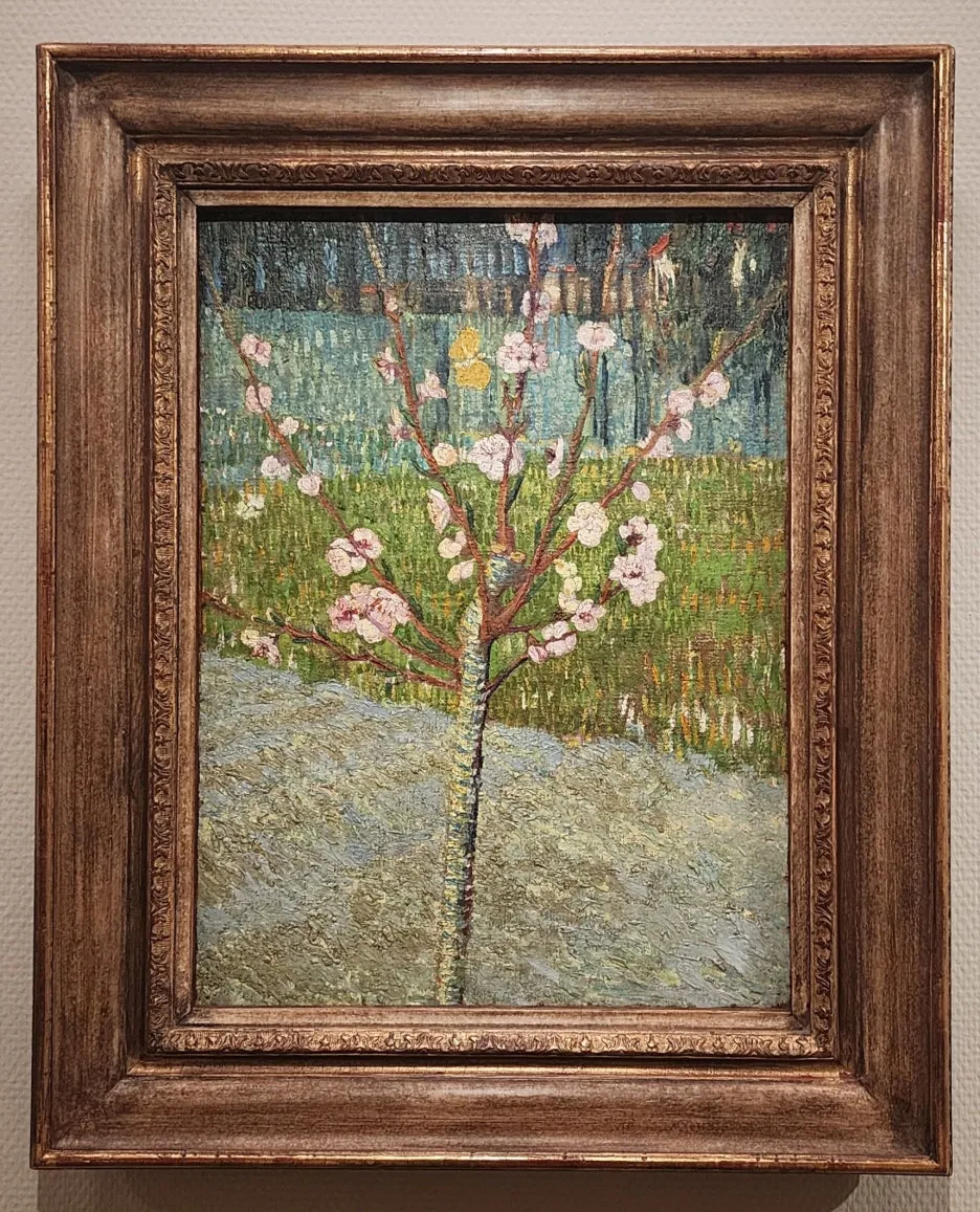 SE-5968fb62-30c3-43e2-b110-58019145265e.jpg?type=w1