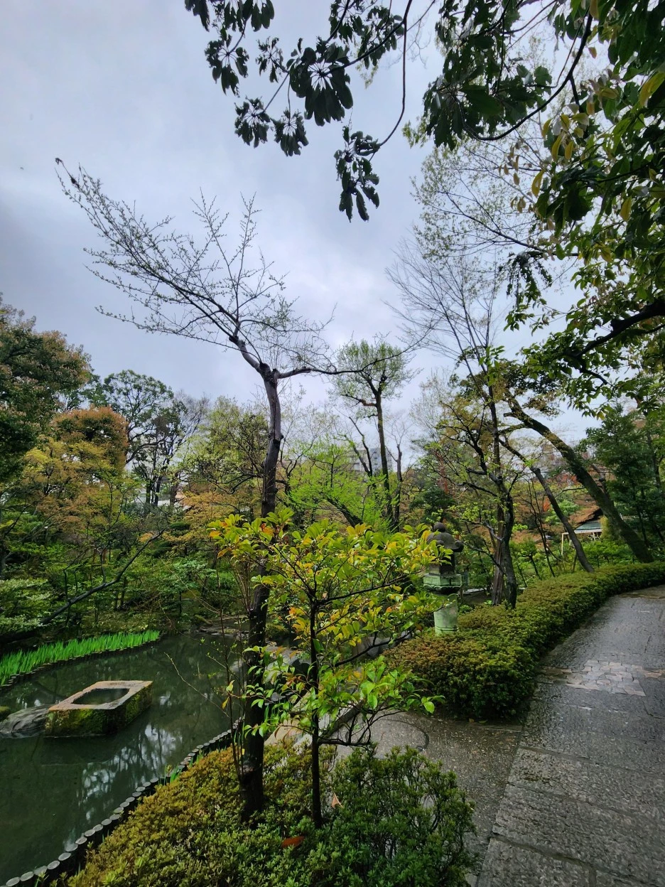 20230326_154501.jpg?type=w1