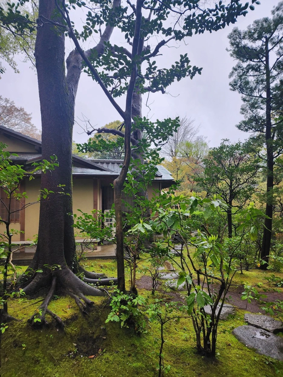 20230326_153444.jpg?type=w1