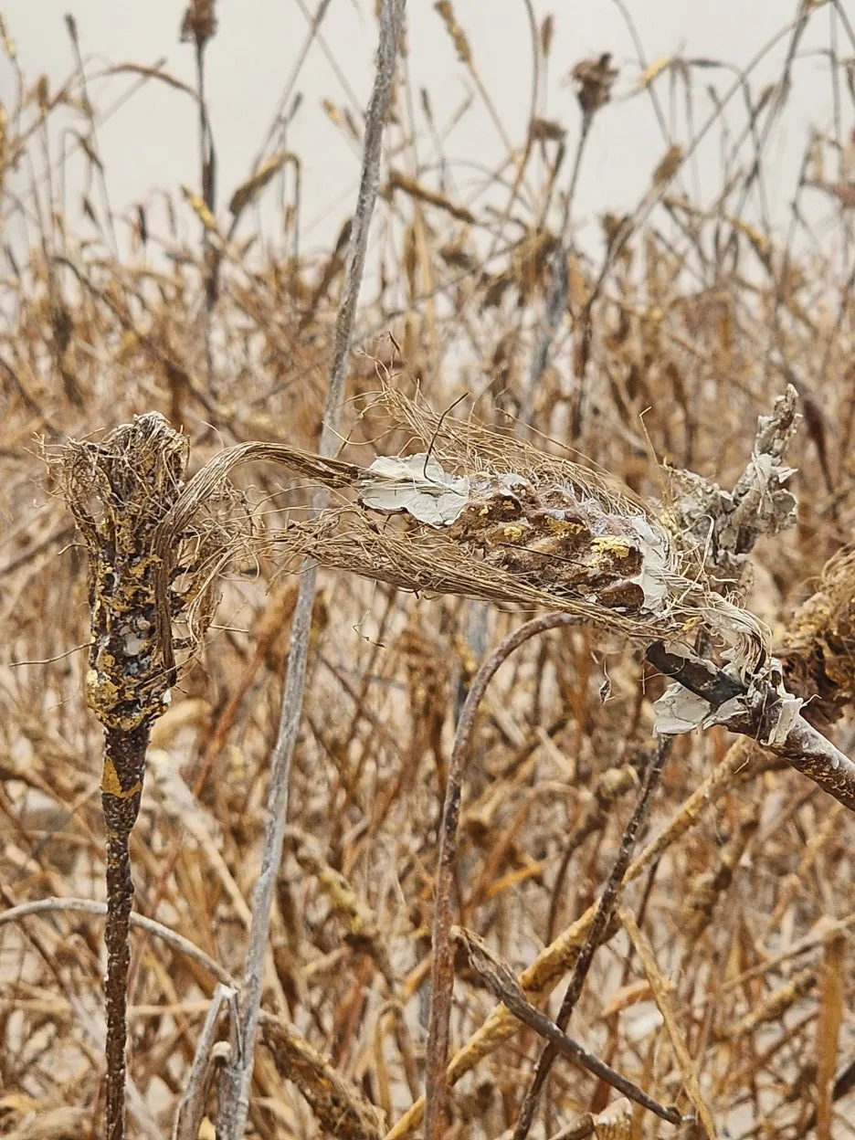 20240223_120025.jpg?type=w1