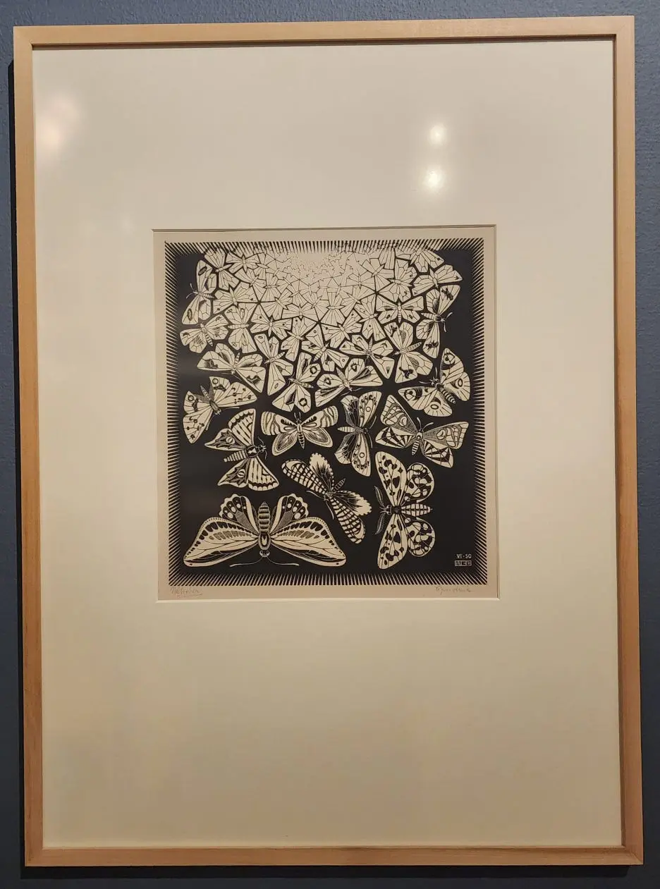 SE-c2ffe127-0d1f-41ed-af1b-8b122e6c5514.jpg?type=w1