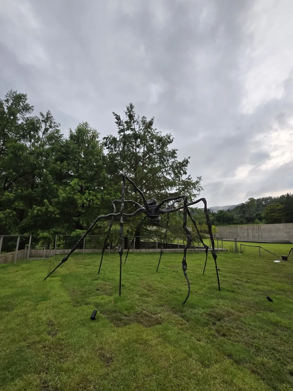 20250906_175538.jpg?type=w1