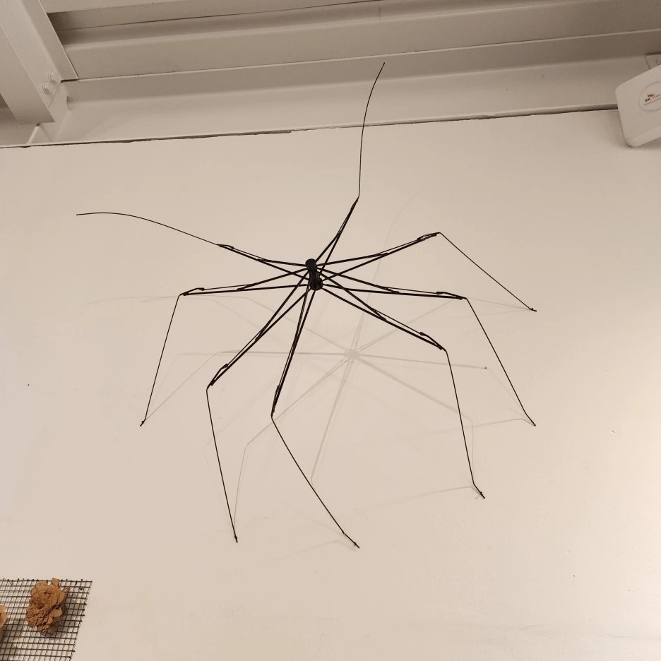 20221030_120841.jpg?type=w1