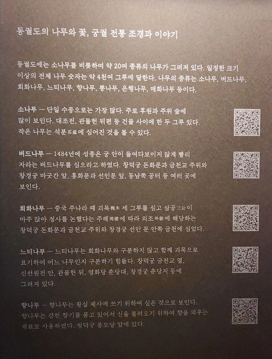 SE-cab5e50f-ec4e-4dae-bcc2-6b59d99b0622.jpg?type=w1