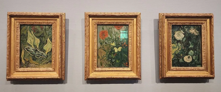 SE-49766649-99e3-43e8-a29b-bfef4cf67ed9.jpg?type=w1