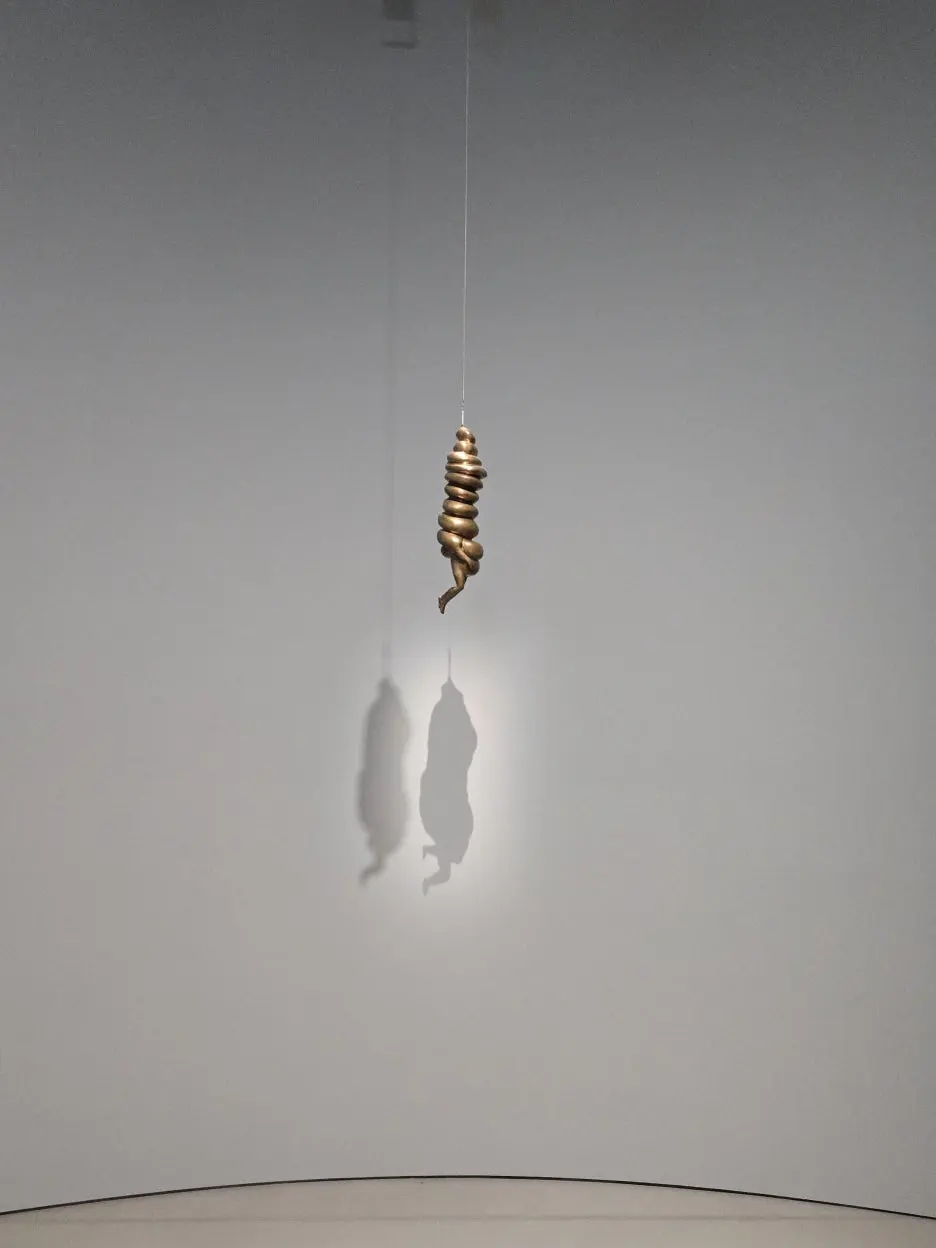 20250906_164015.jpg?type=w1