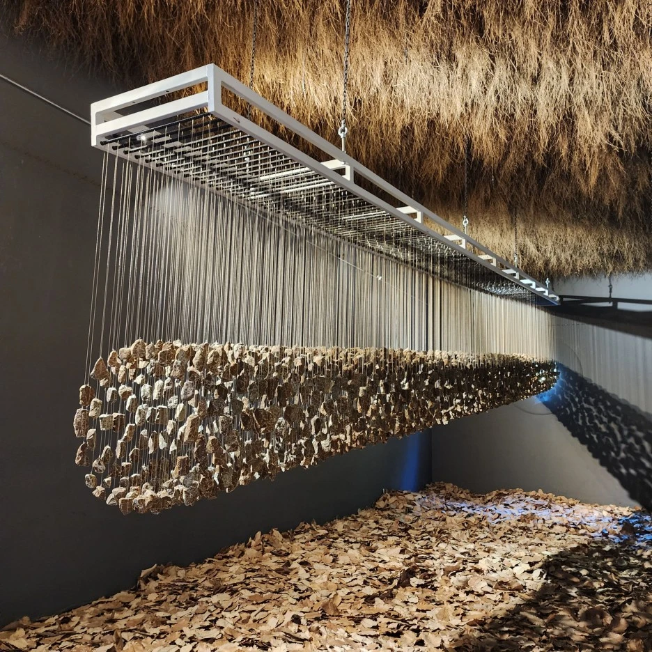 20221030_115032.jpg?type=w1