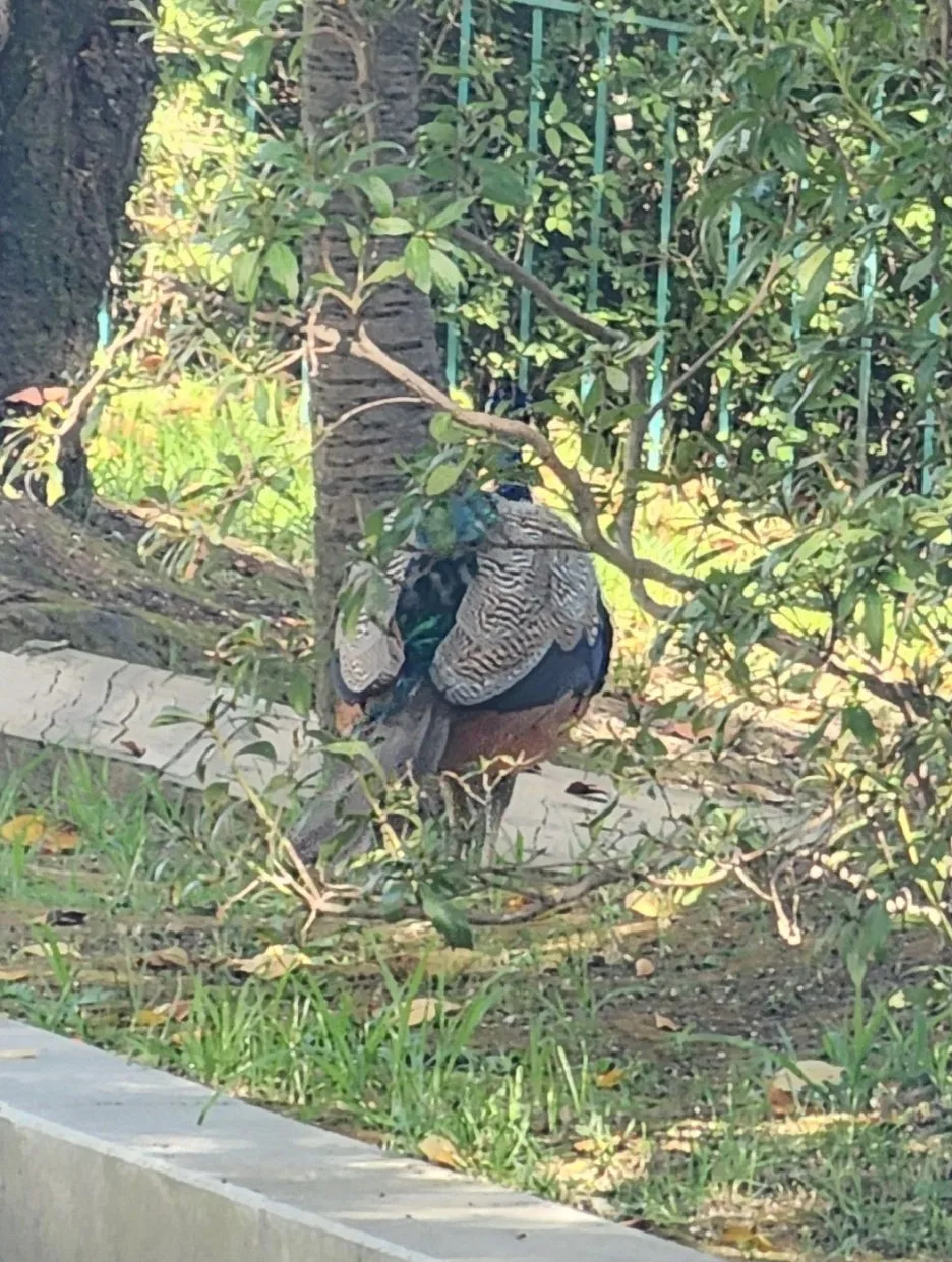 SE-7f36f720-9ca5-48d1-92a1-22ce7acd6eef.jpg?type=w1