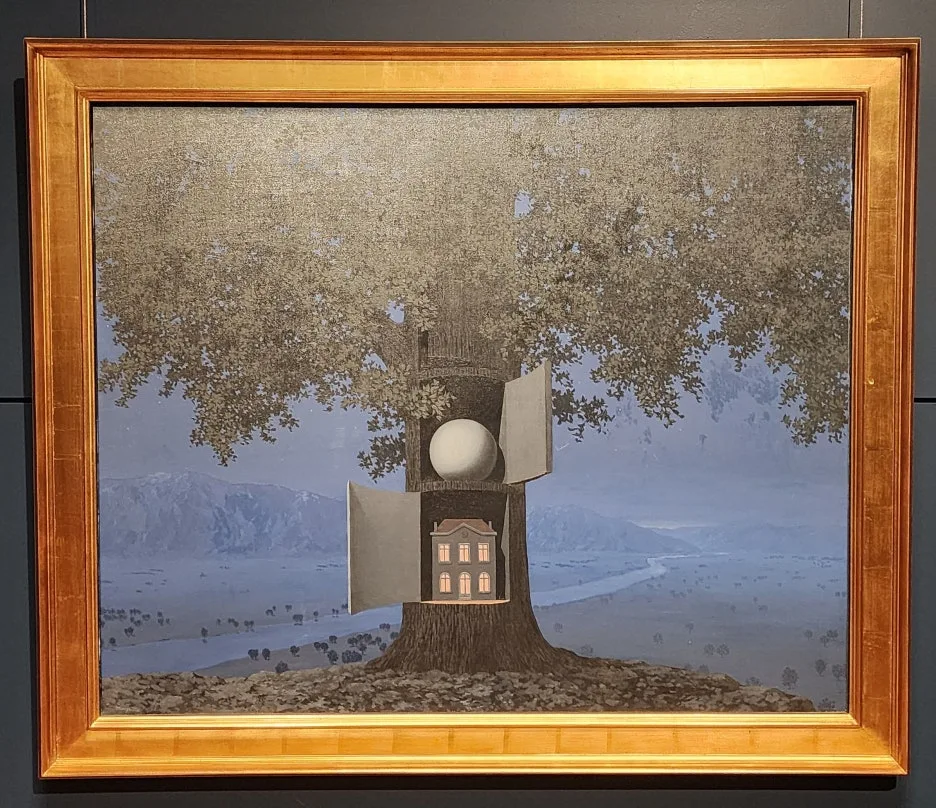 SE-0c9ce7ec-a74b-4f0e-9075-bf12b74a3875.jpg?type=w1