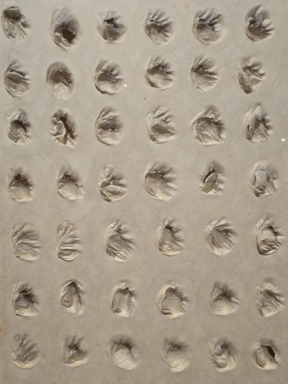 20250830_150031.jpg?type=w1