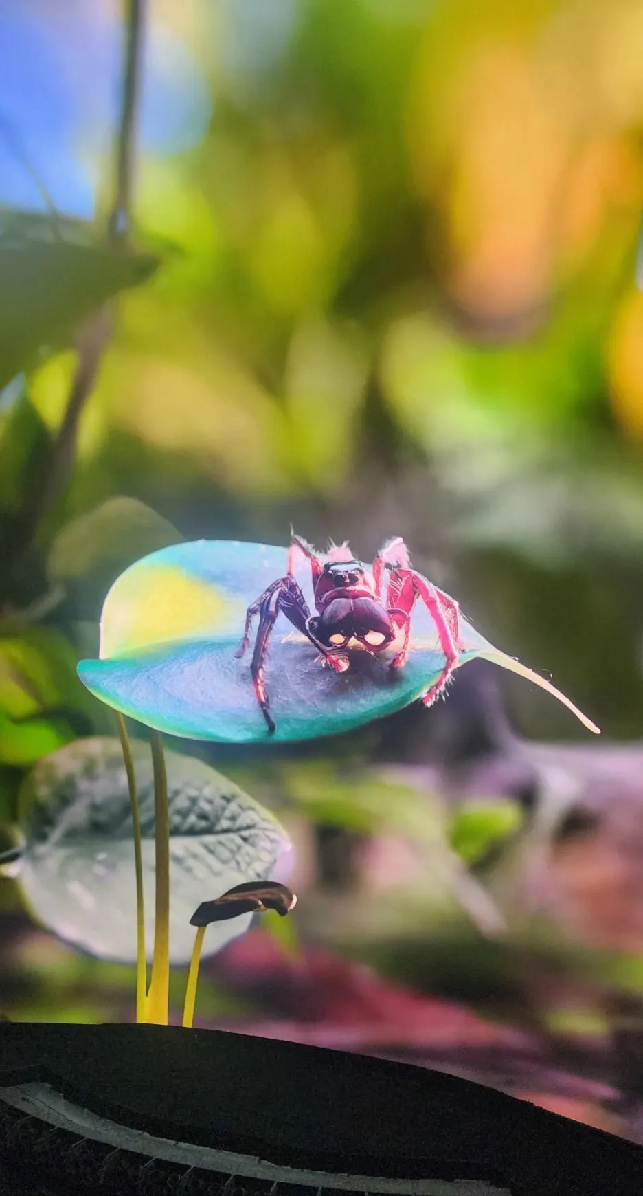 SE-1b474acf-4821-41de-9a7b-05f0c5fd067e.jpg?type=w1