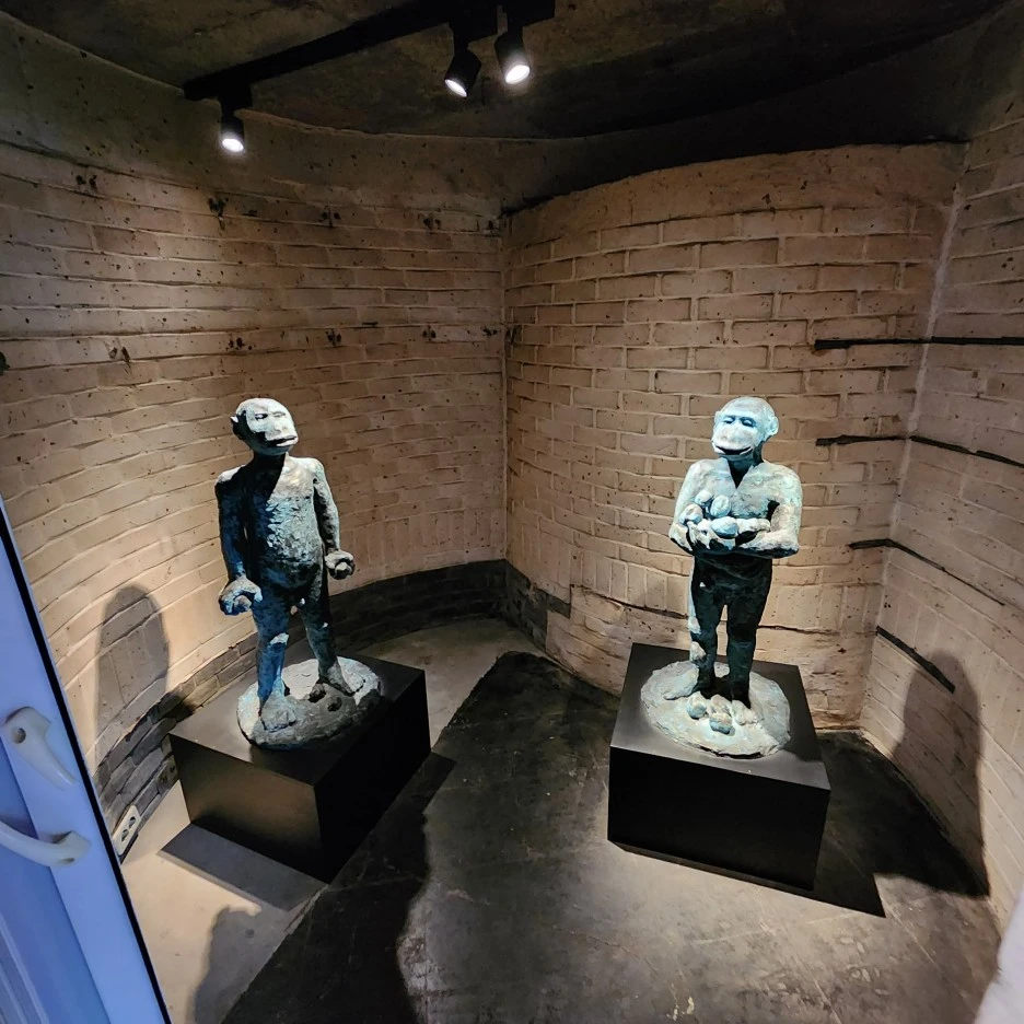 20221106_124235.jpg?type=w1