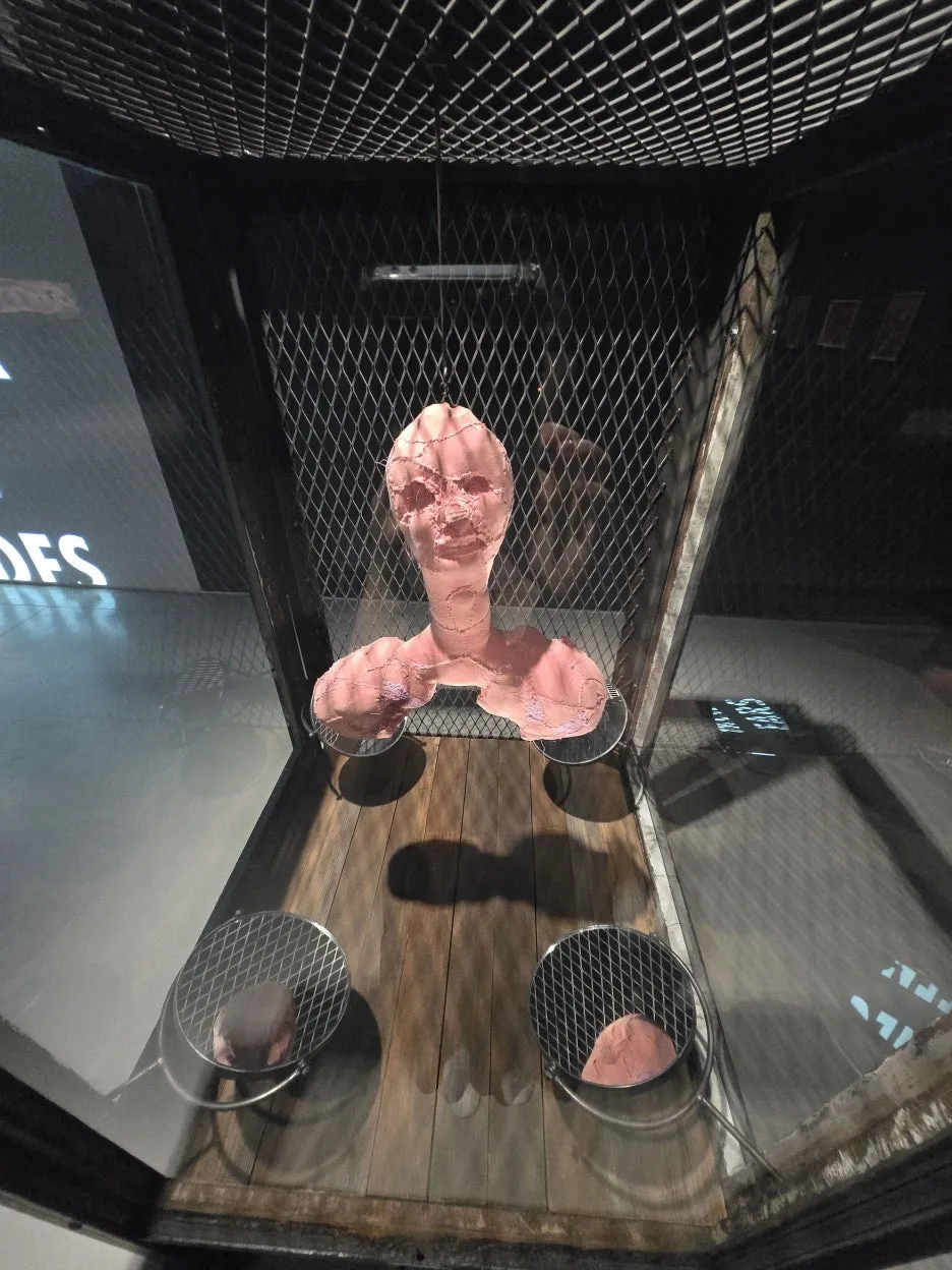 20250906_172843.jpg?type=w1