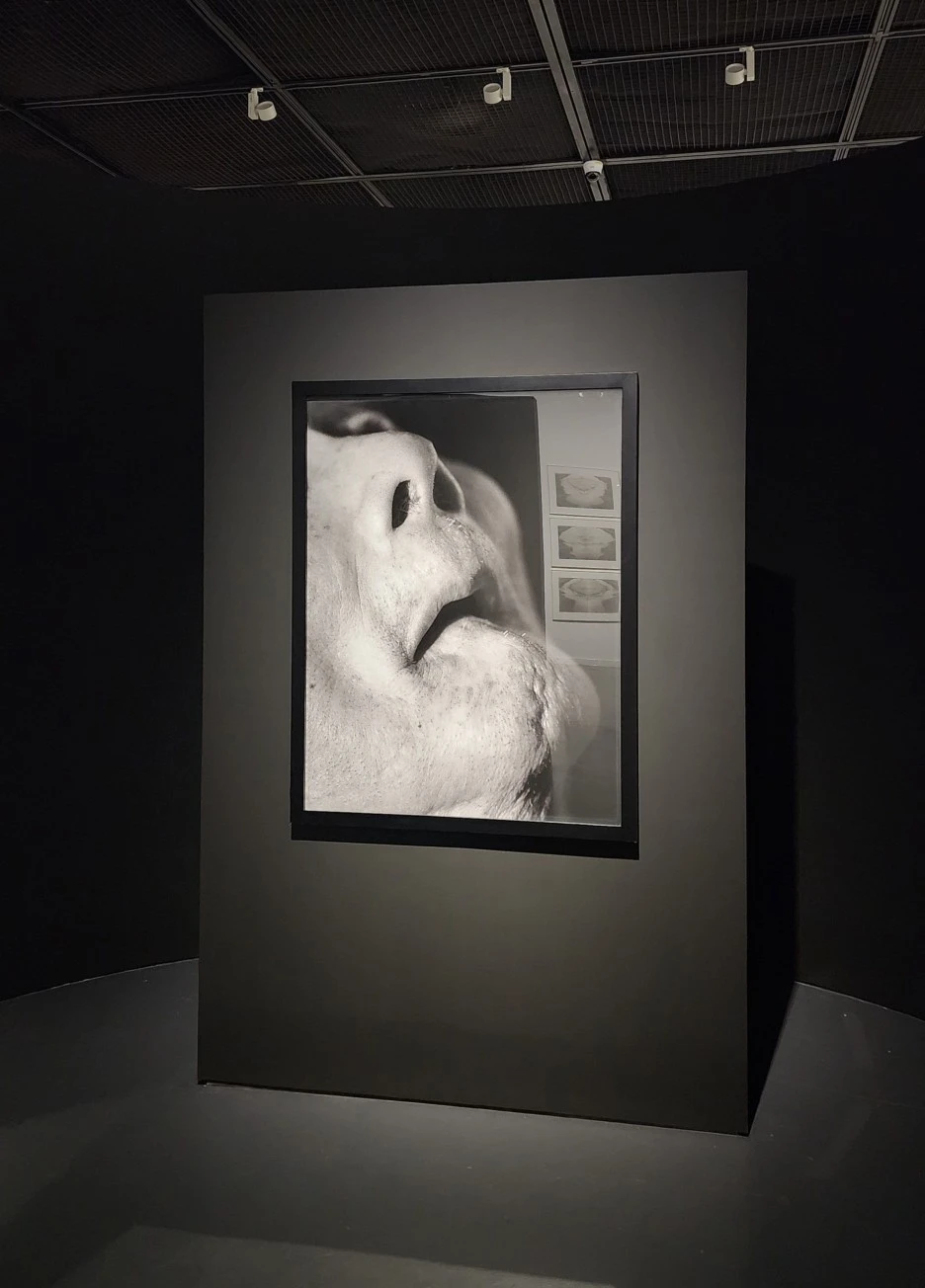 SE-73cfcd70-8ea1-443c-8eb6-eb1b5e235a09.jpg?type=w1