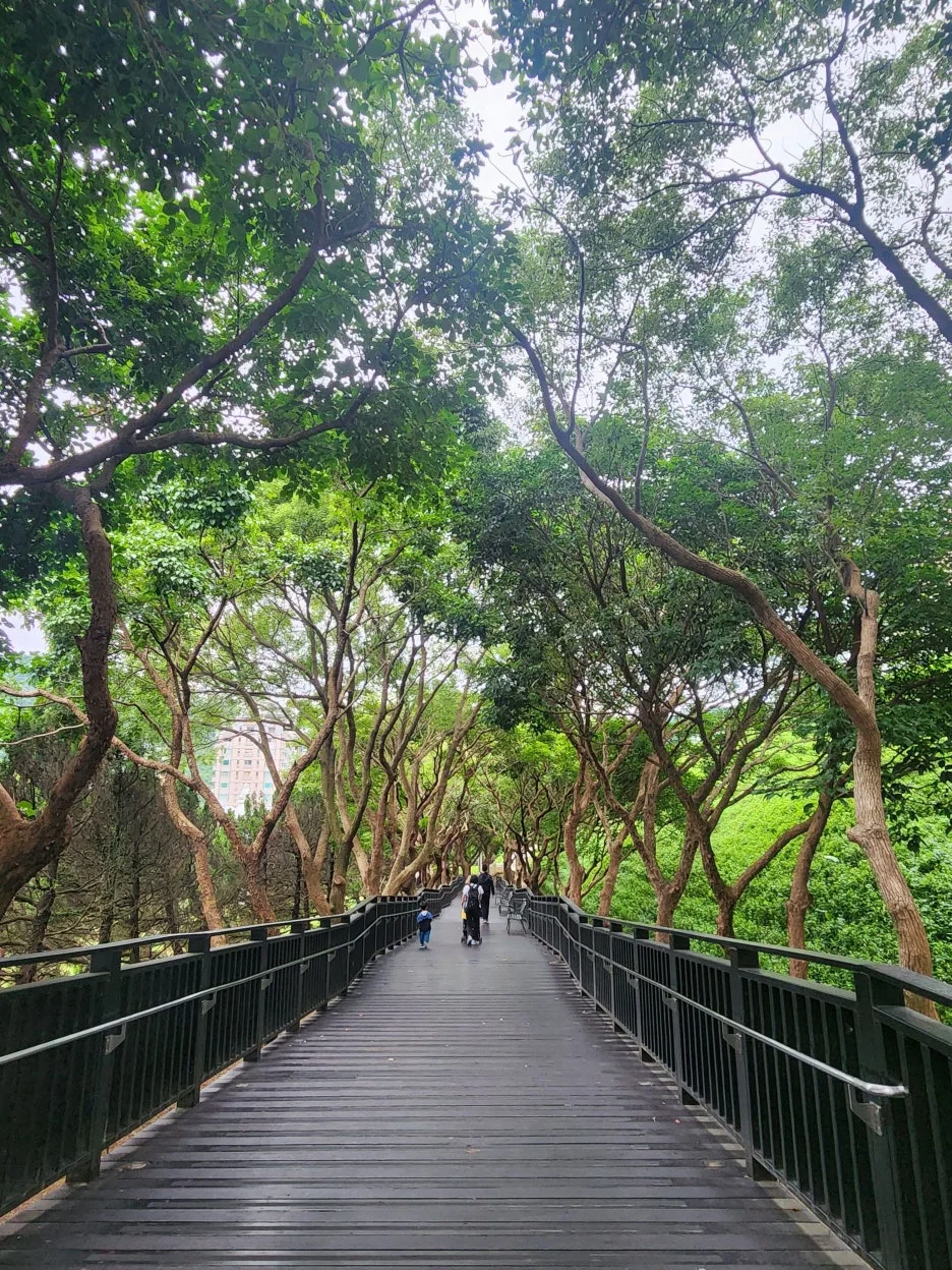 20240604_163230.jpg?type=w1