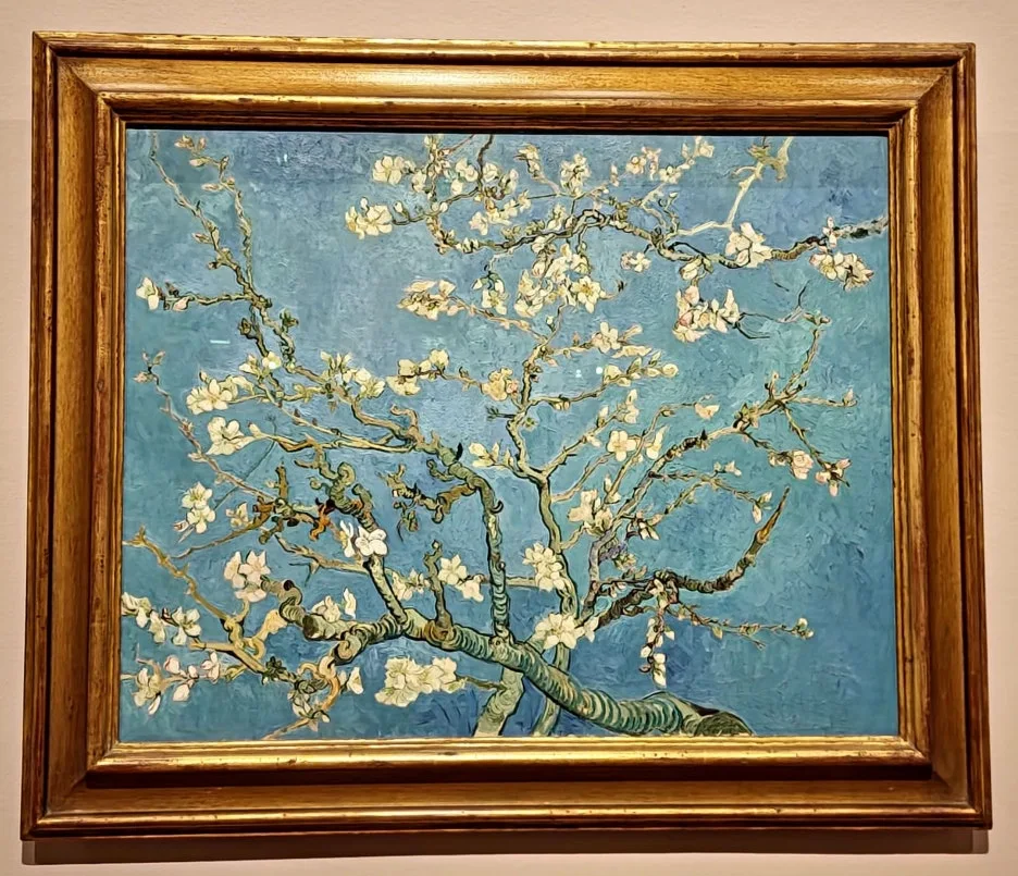 SE-6f2f9633-c69a-43cc-8a0f-982a2bd0e39c.jpg?type=w1