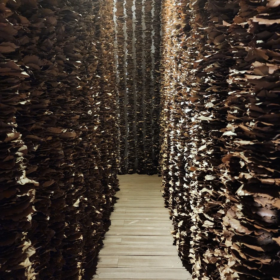 20221030_113309.jpg?type=w1