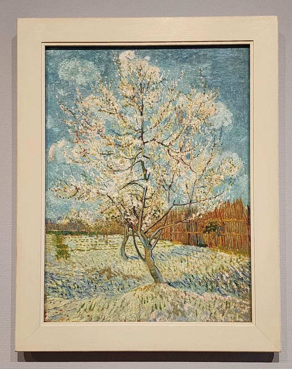 SE-9ca055df-c16b-441f-87d9-45181e5cdb1d.jpg?type=w1