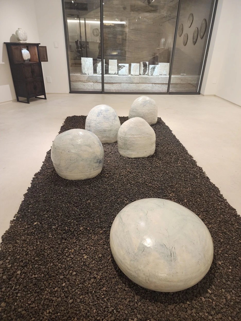 20231202_163153.jpg?type=w1