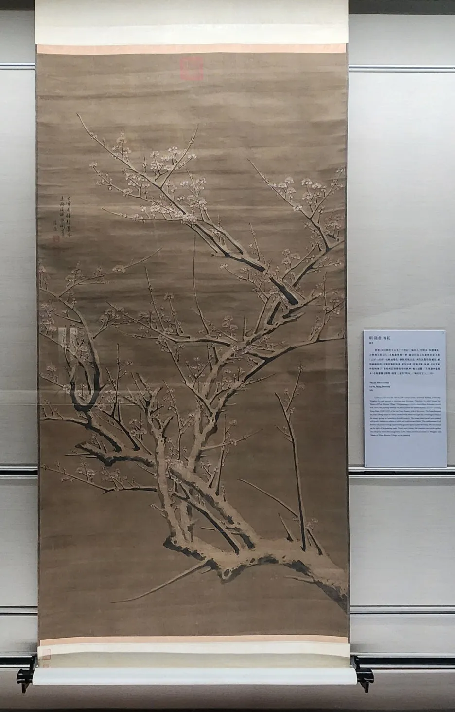 SE-a8663225-5f07-4c21-997a-95efec485fe2.jpg?type=w1