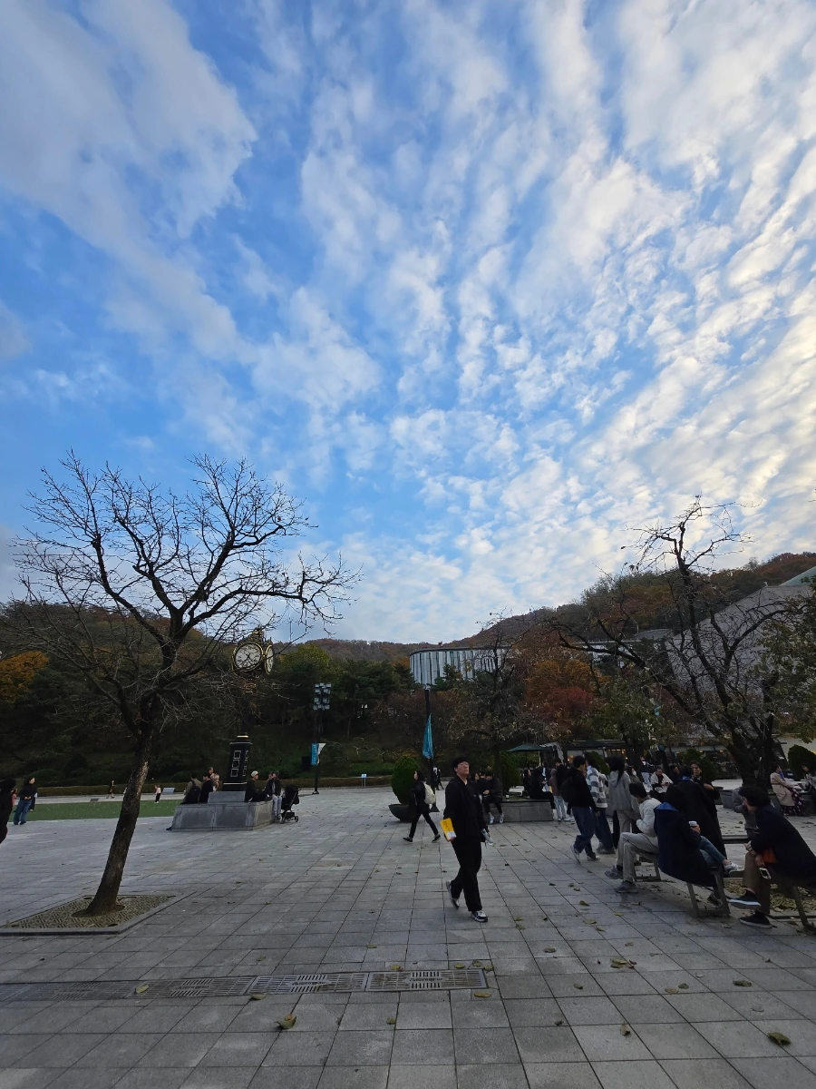 900%EF%BC%BF20251109%EF%BC%BF163422.jpg?type=w1