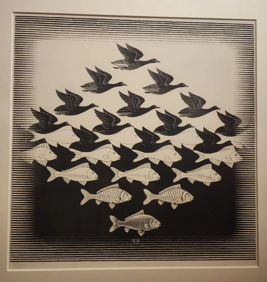 SE-3e3b646f-d63c-410e-b8aa-f7218cfb9d32.jpg?type=w1