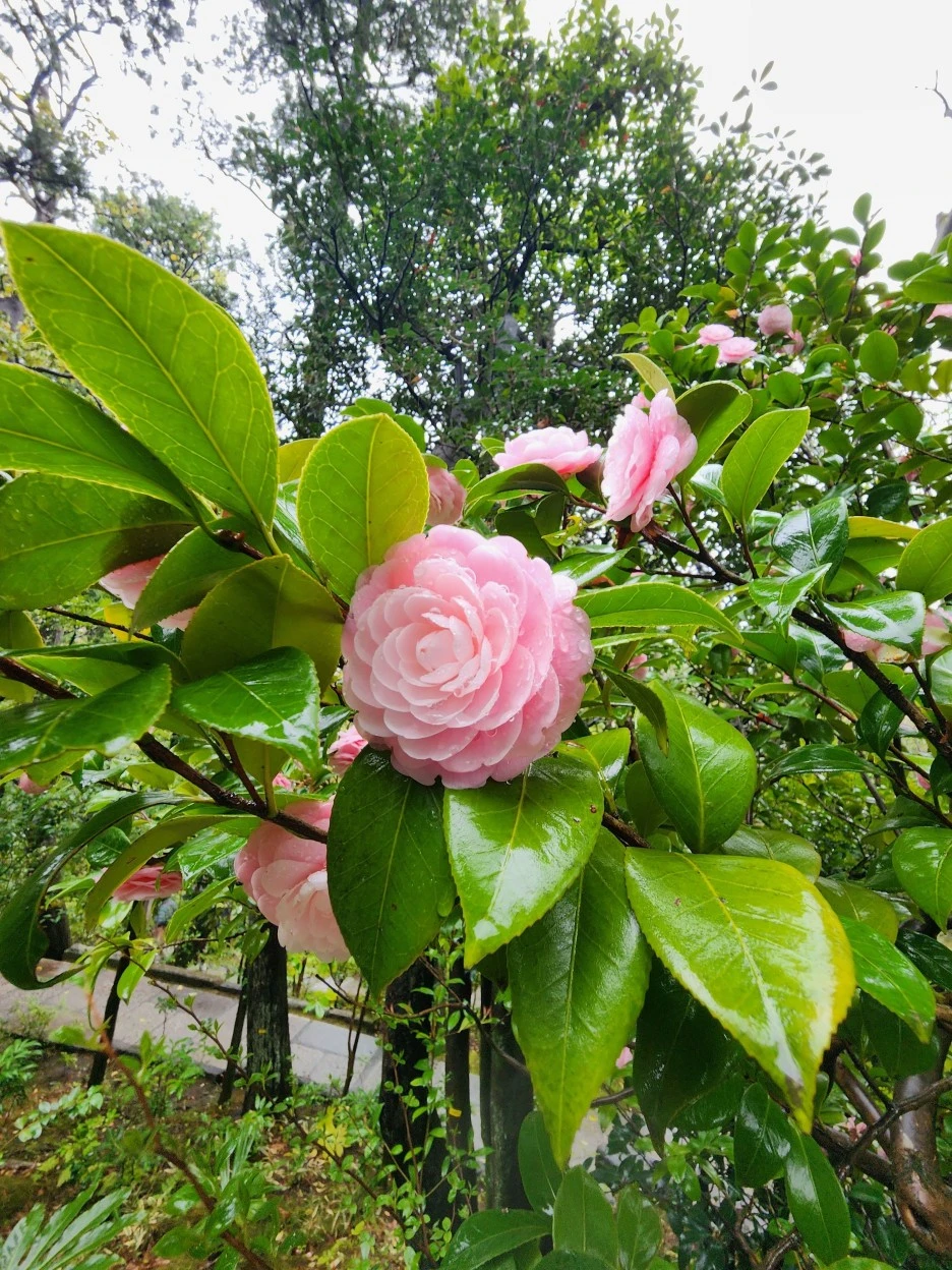 20230326_154942.jpg?type=w1