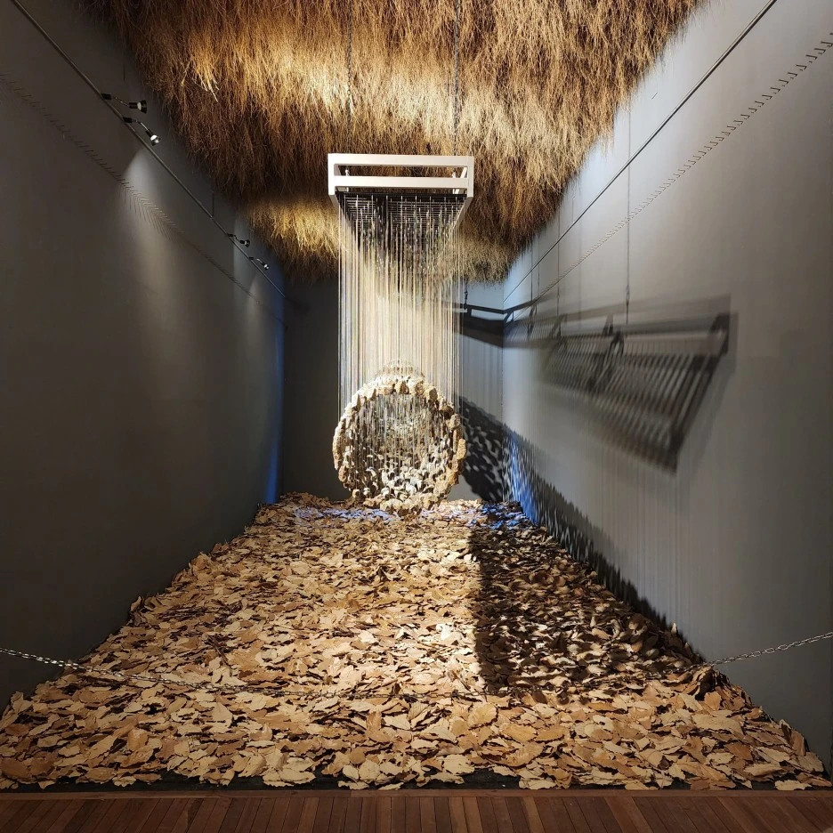 20221030_114557.jpg?type=w1