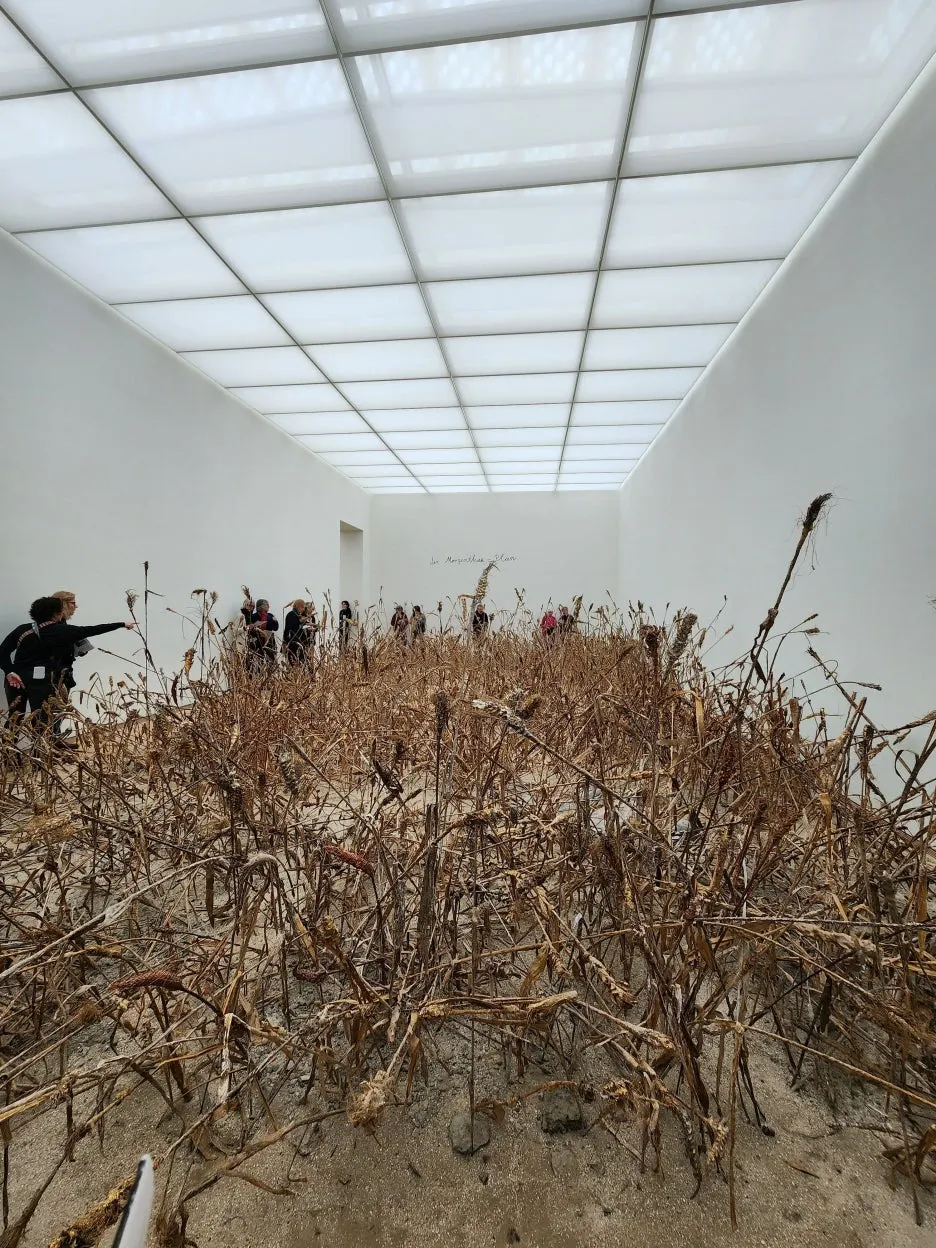 20240223_115952.jpg?type=w1