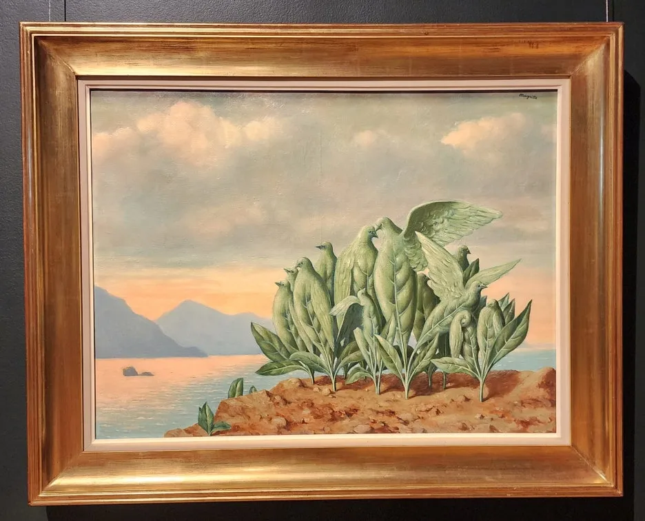 SE-d9669b29-66ea-44a5-9640-259e54261274.jpg?type=w1