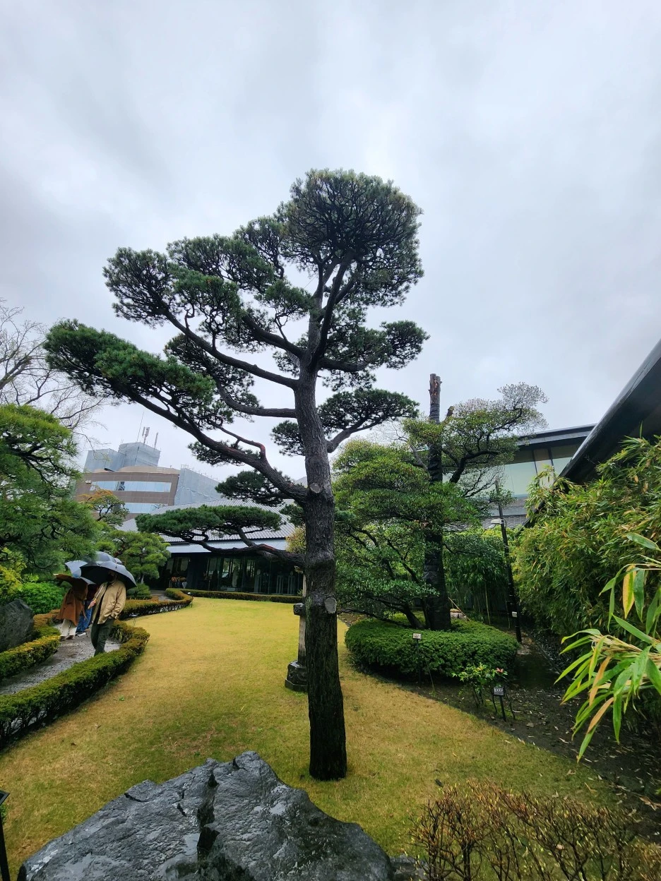 20230326_152728.jpg?type=w1