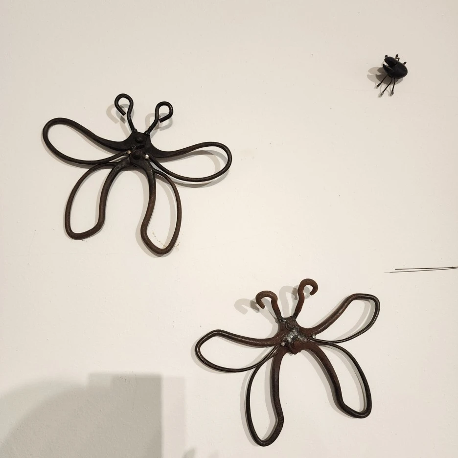 20221030_120812.jpg?type=w1