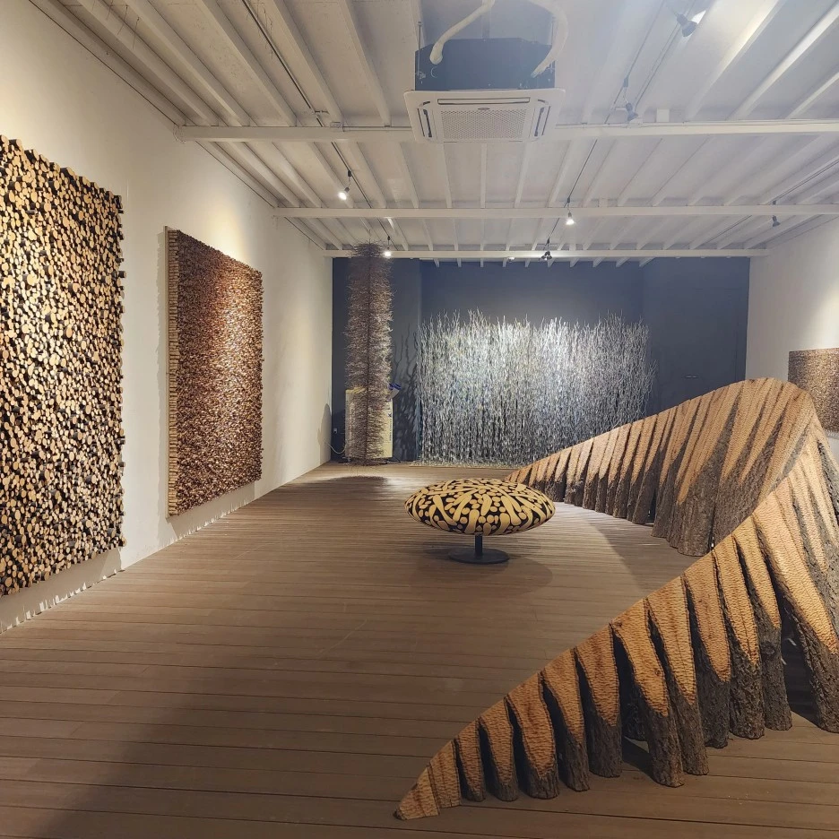 20221030_113611.jpg?type=w1