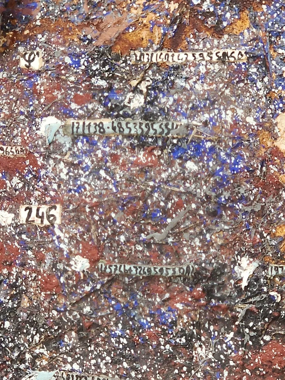 20240223_111829.jpg?type=w1