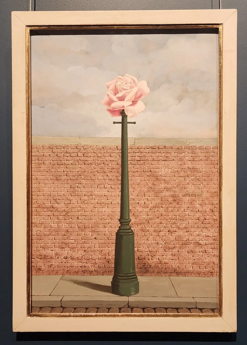 SE-d5214b30-b857-4ea6-930e-8a000807423d.jpg?type=w1