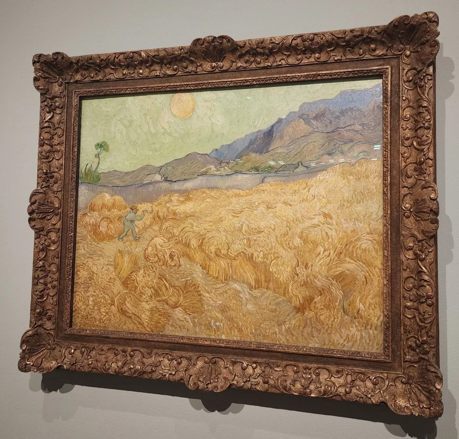 SE-2aceddb7-46d3-420d-aeed-d67441e2b07a.jpg?type=w1