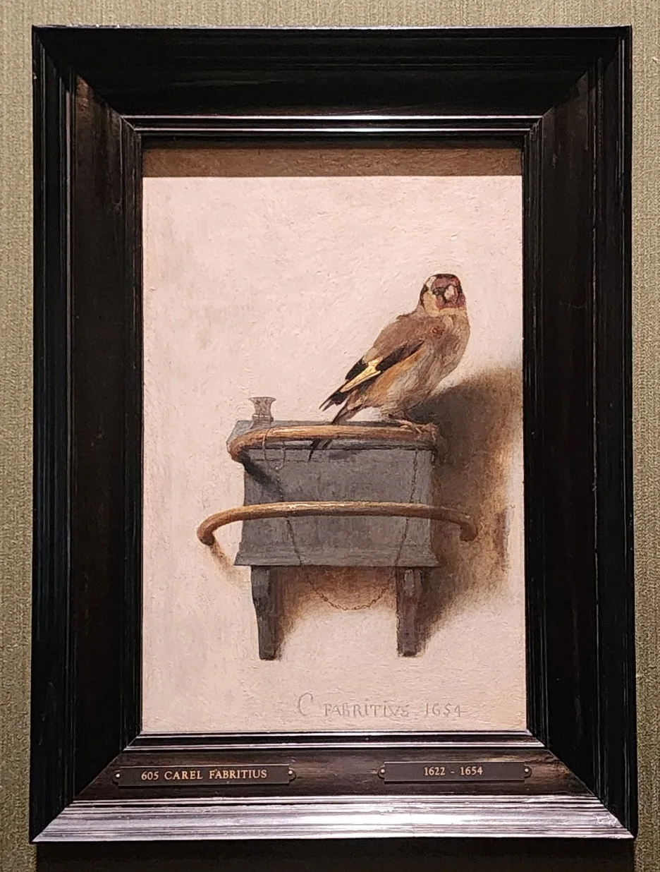 SE-484d961f-c6b6-446e-8a43-3bda7cbc79a4.jpg?type=w1