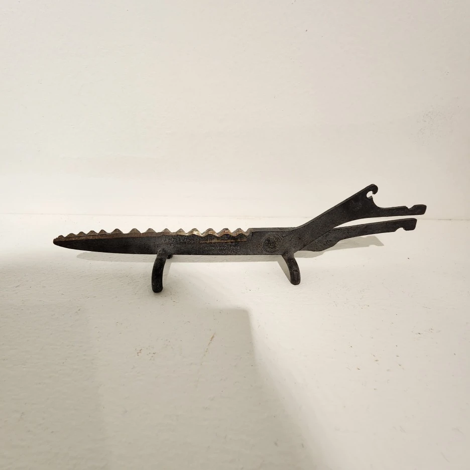 20221030_120539.jpg?type=w1