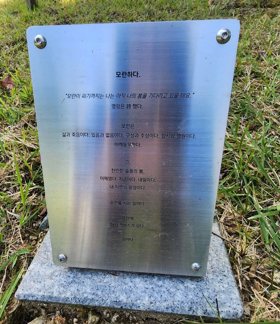 SE-59b1d772-3b68-478a-b1e3-b6a4ed0539bc.jpg?type=w1