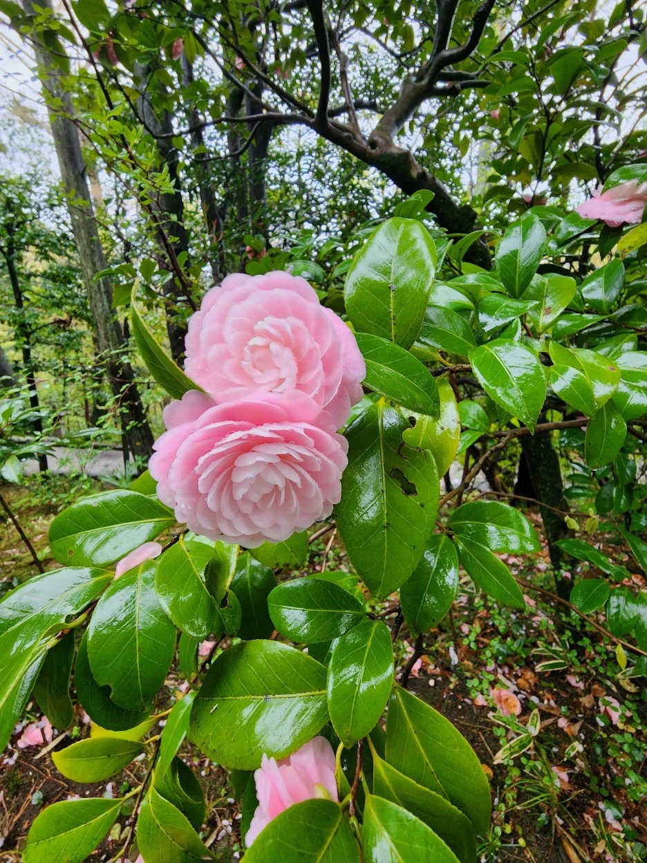 20230326_155000.jpg?type=w1