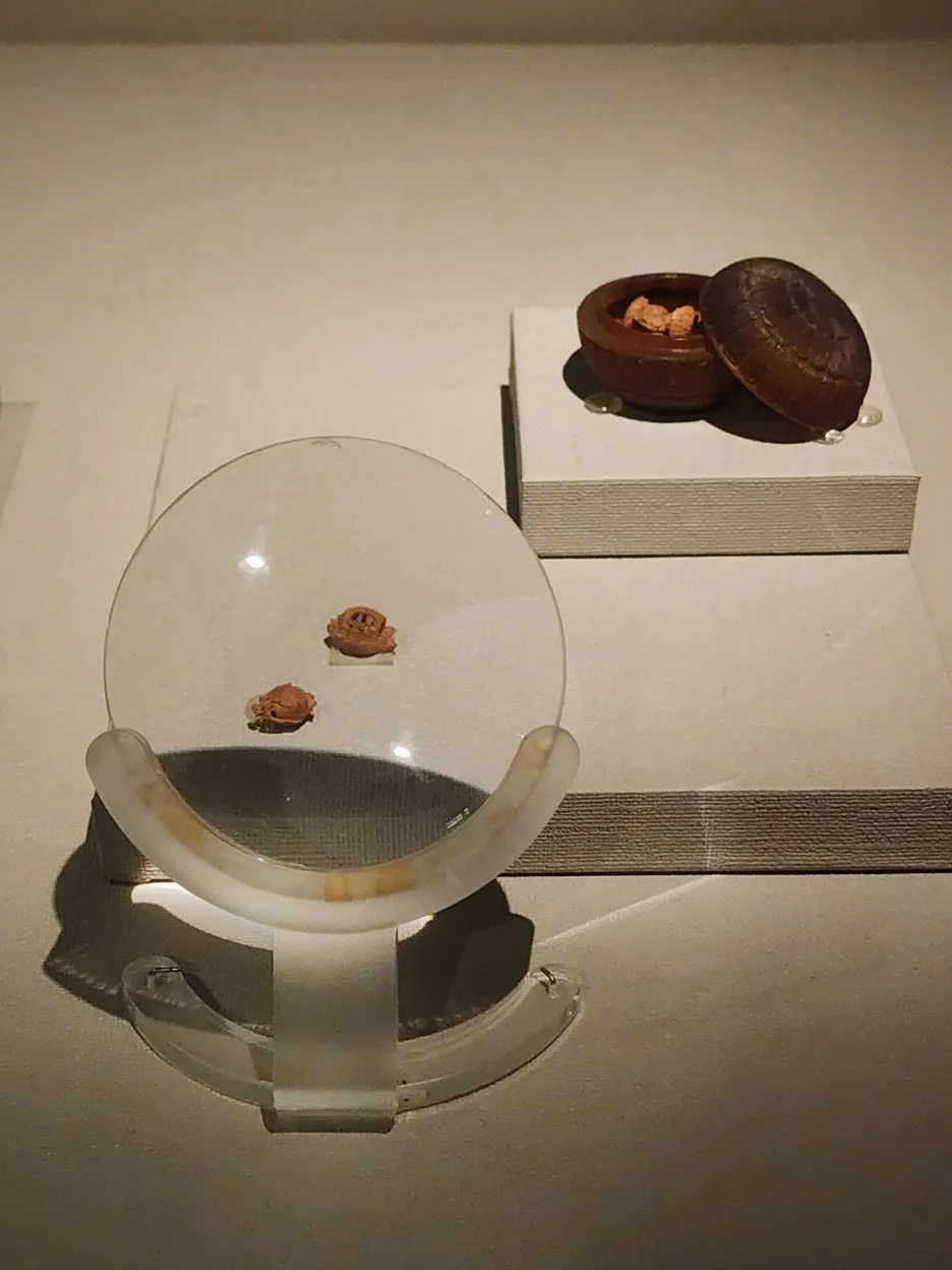 20240604_152555.jpg?type=w1