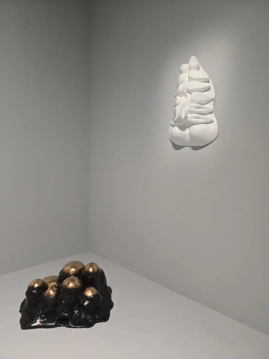 20250906_164711.jpg?type=w1