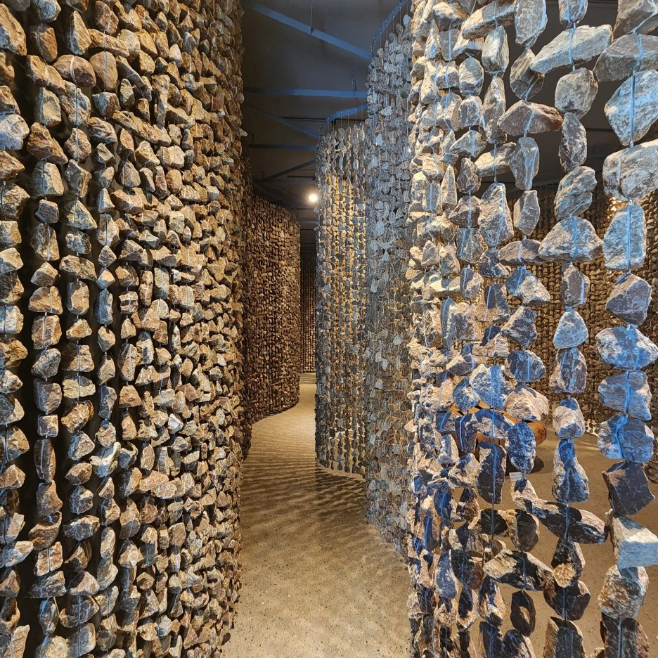 20221030_122542.jpg?type=w1