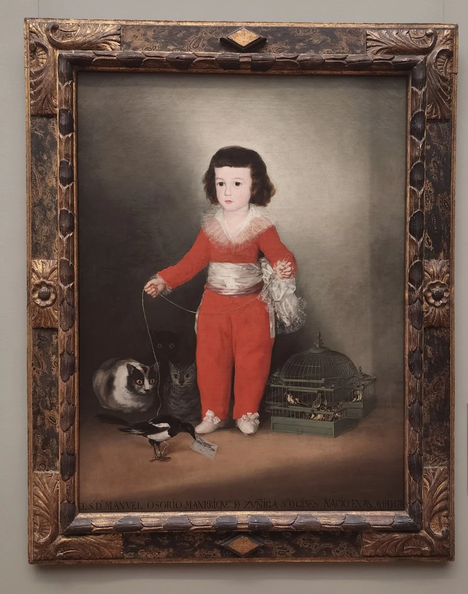 SE-91cc0d9f-1e15-4a08-aa5f-55c62eb585ce.jpg?type=w1