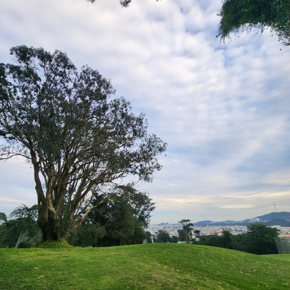 20240118_164058.jpg?type=w1