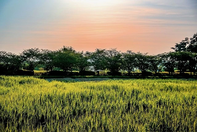 5AC5B27A-EC23-483A-9730-13527832C121.JPG?type=w773