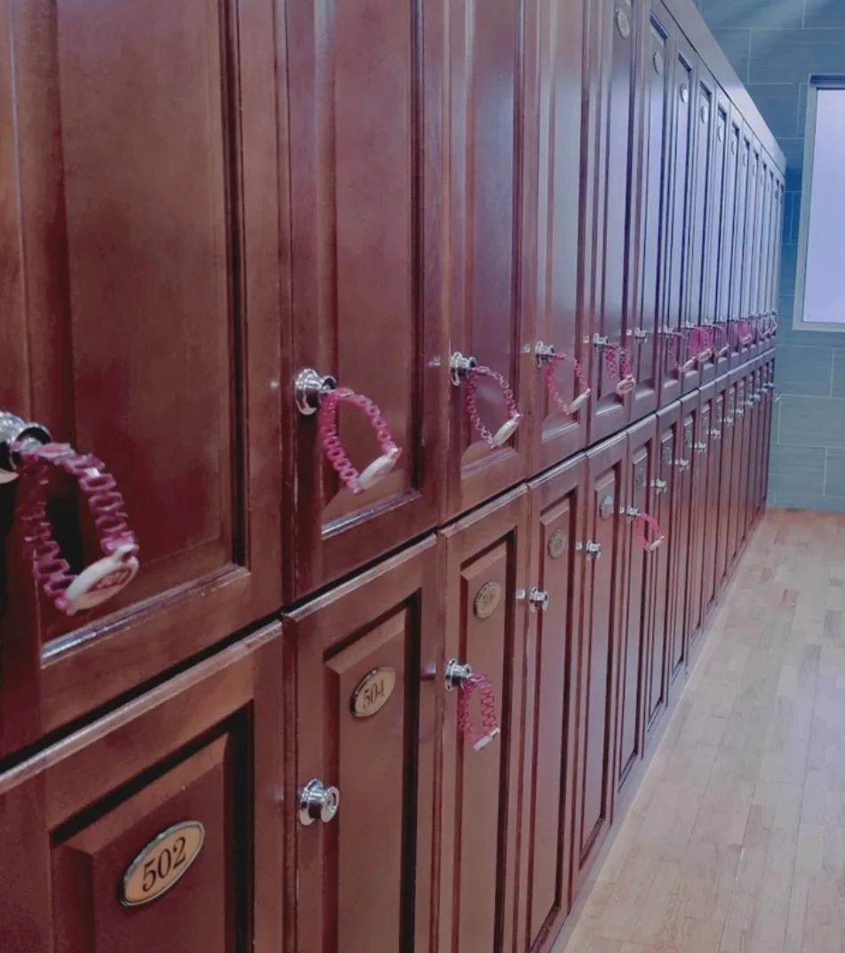 474739705_17867805810301992_1437286631998834254_n.jpg?stp=dst-jpg_e35_tt6&efg=eyJ2ZW5jb2RlX3RhZyI6InRocmVhZHMuQ0FST1VTRUxfSVRFTS5pbWFnZV91cmxnZW4uOTUxeDEwNzIuc2RyLmY3NTc2MS5kZWZhdWx0X2ltYWdlIn0&_nc_ht=scontent-ssn1-1.cdninstagram.com&_nc_cat=100&_nc_oc=Q6cZ2QE2PAwPAJcOj7WWIF5vMg3sYEeRNXncMHZAYv2pbwvHin0w4dlxf-SkYh7hXBVUmZM&_nc_ohc=MU3z-7fNDe4Q7kNvwG2e4d_&_nc_gid=tIeYA1ZcYklUjJdS9H7w6A&edm=AA8jOzYBAAAA&ccb=7-5&ig_cache_key=MzU2MzkwMzU5MTc4NzY3NDQ0Mw%3D%3D.3-ccb7-5&oh=00_AfHbxybJ68LDDn-G8fp1-wGAY0IqqjNS7pJcRRAeiWMN_A&oe=67F7AA24&_nc_sid=84debf