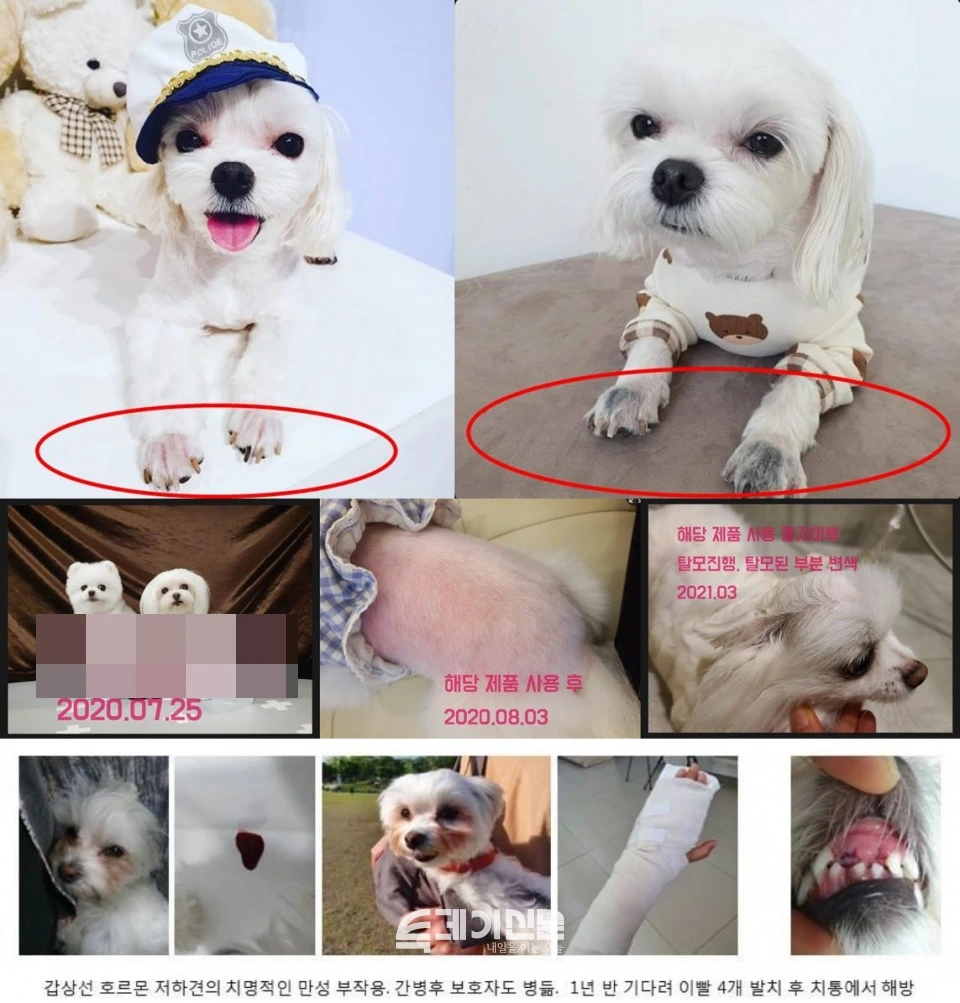 s5pnxBxIcv9z5QgF7RDAedMR34yv1v4_-kQnZnUSJvHpk0GHu0zzJV57jTiVGm2vKI0mDMoLUTf5PKh5VfqdNxZv2Nv29javmh3BrZSvBPqdMZdOqD7RVBOBxj2ktEb6PRAN6CCwq-dY82BpqGuXTag